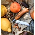 Сгъваем нож Opinel №10 Carbone, острие 10 см - Image 3